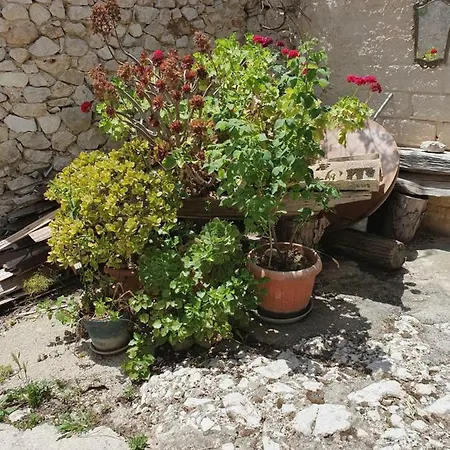 Guest house Case Vacanze Stabile